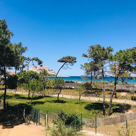 Appartement Les Carolines Calvi Exterior foto